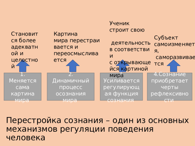Ученик строит свою        деятельность в соответствии с открывающейся картиной мира  Становится более адекватной и целостной  ​ Картина мира перестраивается и  переосмысливается  Субъект  самоизменяется,   саморазвивается  1. Меняется сама картина мира  4.Сознание приобретает черты рефлексивности  3. Усиливается регулирующая функция сознания  2. Динамичный процесс осознания мира  Перестройка сознания – один из основных механизмов регуляции поведения человека 