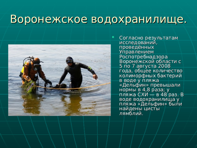 Воронежское водохранилище. Согласно результатам исследований, проведённых Управлением Роспотребнадзора Воронежской области с 5 по 7 августа 2008 года, общее количество колиморфных бактерий в воде у пляжа «Дельфин» превышали нормы в 4,8 раза; у пляжа СХИ — в 48 раз. В воде водохранилища у пляжа «Дельфин» были найдены цисты лямблий. 