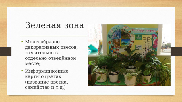 Зеленая зона Многообразие декоративных цветов, желательно в отдельно отведённом месте; Информационные карты о цветах (название цветка, семейство и т.д.) 