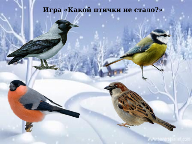 Игра «Какой птички не стало?» 