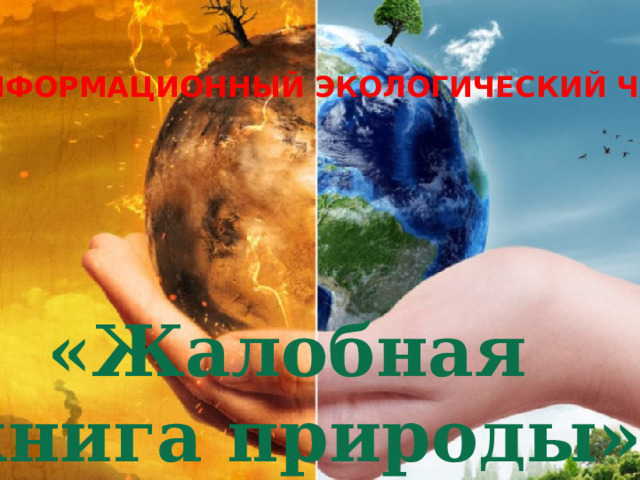 ИНФОРМАЦИОННЫЙ ЭКОЛОГИЧЕСКИЙ ЧАС «Жалобная книга природы» 