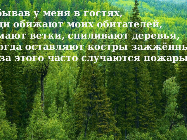 Побывав у меня в гостях, люди обижают моих обитателей,  ломают ветки, спиливают деревья,  иногда оставляют костры зажжёнными. Из-за этого часто случаются пожары. 