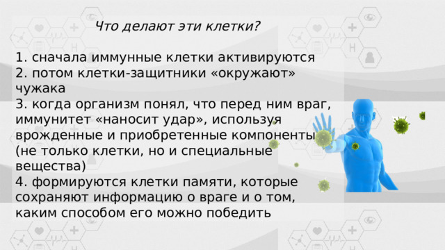  Что делают эти клетки?   1. сначала иммунные клетки активируются  2. потом клетки-защитники «окружают» чужака  3. когда организм понял, что перед ним враг, иммунитет «наносит удар», используя врожденные и приобретенные компоненты (не только клетки, но и специальные вещества)  4. формируются клетки памяти, которые сохраняют информацию о враге и о том, каким способом его можно победить 