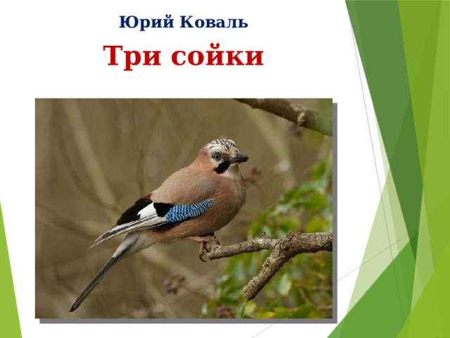 Юрий Коваль   Три сойки   