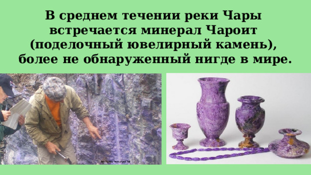 В среднем течении реки Чары встречается минерал Чароит  (поделочный ювелирный камень), более не обнаруженный нигде в мире. 