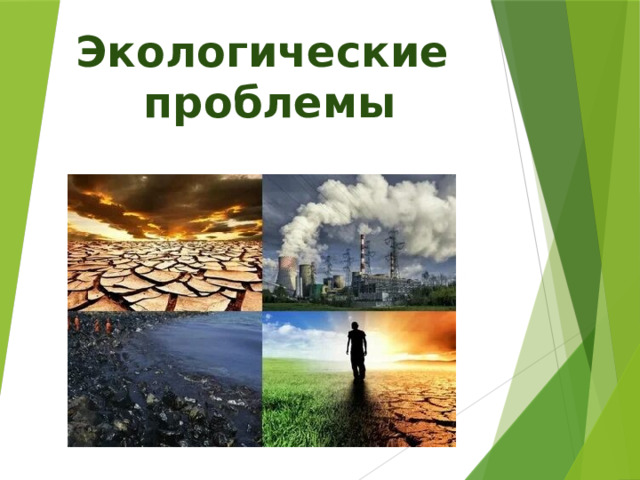 Экологические  проблемы 