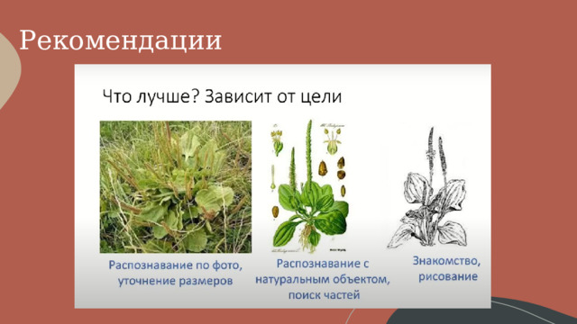 Рекомендации 