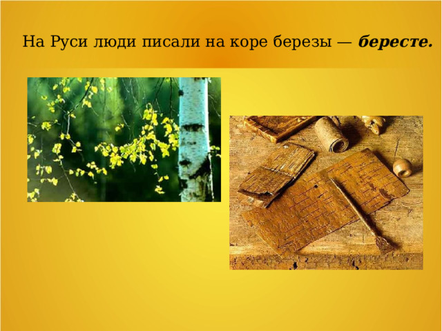 На Руси люди писали на коре березы — бересте. 