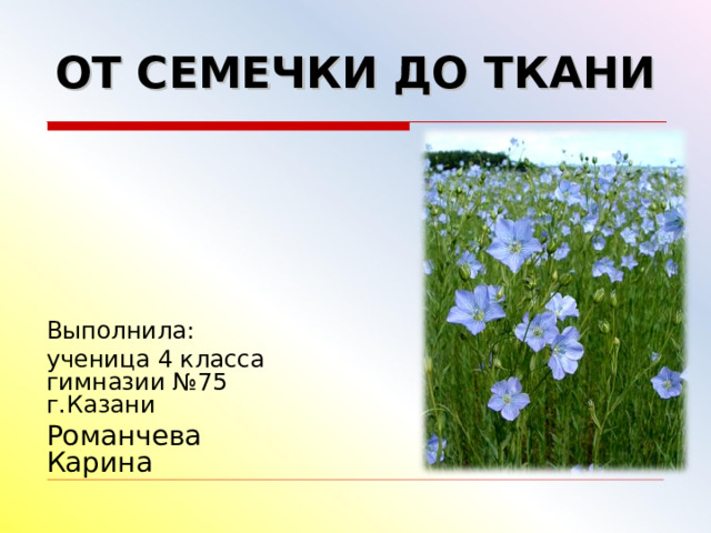 ОТ СЕМЕЧКИ ДО ТКАНИ Выполнила: ученица 4 класса гимназии №75 г.Казани Романчева Карина 
