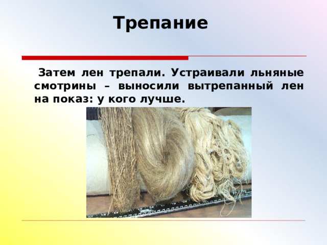 Трепание      Затем лен трепали. Устраивали льняные смотрины – выносили вытрепанный лен на показ: у кого лучше. 