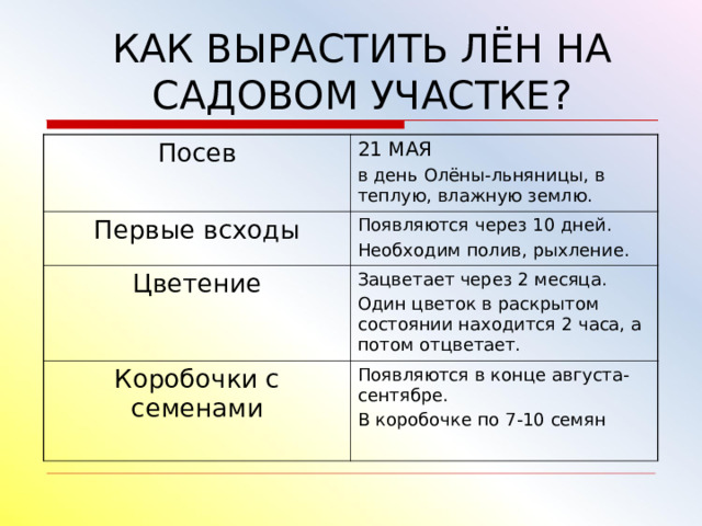 КАК ВЫРАСТИТЬ ЛЁН НА САДОВОМ УЧАСТКЕ? Посев 21 МАЯ в день Олёны-льняницы, в теплую, влажную землю. Первые всходы Появляются через 10 дней. Необходим полив, рыхление. Цветение Зацветает через 2 месяца. Один цветок в раскрытом состоянии находится 2 часа, а потом отцветает. Коробочки с семенами Появляются в конце августа-сентябре. В коробочке по 7-10 семян 