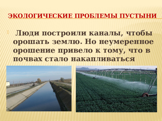 Экологические проблемы пустыни  Люди построили каналы, чтобы орошать землю. Но неумеренное орошение привело к тому, что в почвах стало накапливаться много соли. 