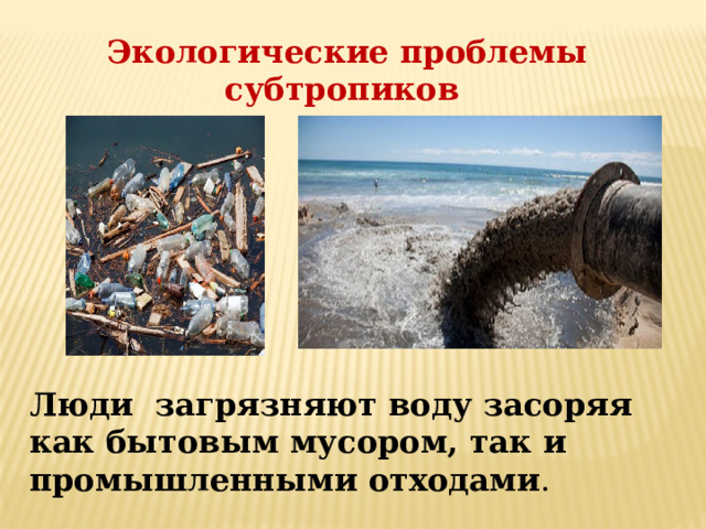 Экологические проблемы субтропиков Люди загрязняют воду засоряя как бытовым мусором, так и промышленными отходами . 