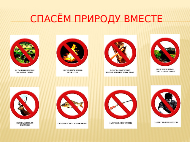 Спасём природу вместе 
