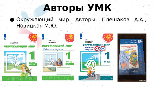 Авторы УМК Окружающий мир. Авторы: Плешаков А.А., Новицкая М.Ю. 