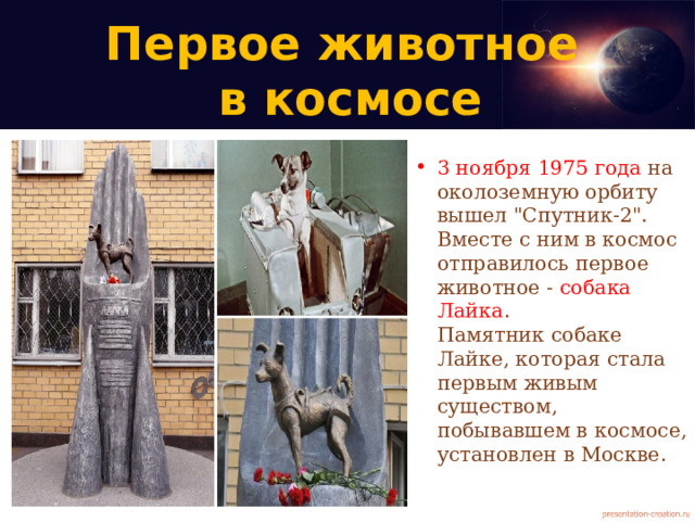 Первое животное  в космосе 3 ноября 1975 года на околоземную орбиту вышел 