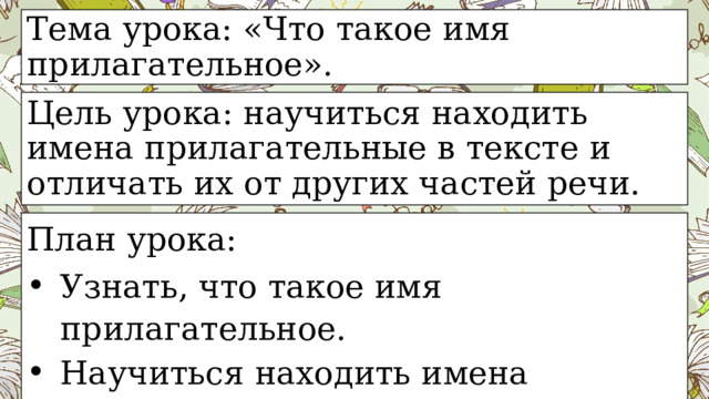 Тема урока: «Что такое имя прилагательное». Цель урока: научиться находить имена прилагательные в тексте и отличать их от других частей речи. План урока: Узнать, что такое имя прилагательное. Научиться находить имена прилагательные в тексте. 