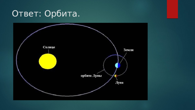 Ответ: Орбита.   