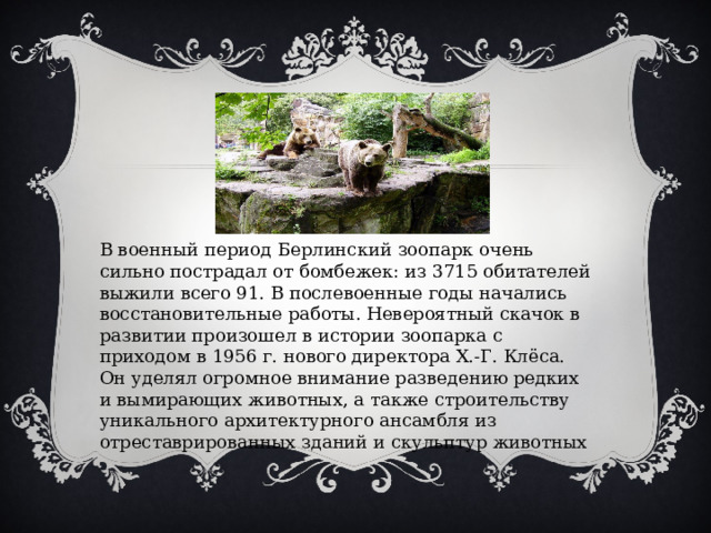 В военный период Берлинский зоопарк очень сильно пострадал от бомбежек: из 3715 обитателей выжили всего 91. В послевоенные годы начались восстановительные работы. Невероятный скачок в развитии произошел в истории зоопарка с приходом в 1956 г. нового директора Х.-Г. Клёса. Он уделял огромное внимание разведению редких и вымирающих животных, а также строительству уникального архитектурного ансамбля из отреставрированных зданий и скульптур животных 