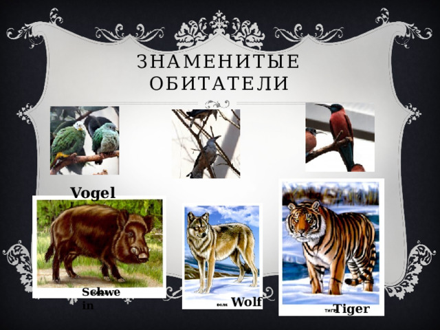 Знаменитые обитатели Vogel Schwein Wolf Tiger 