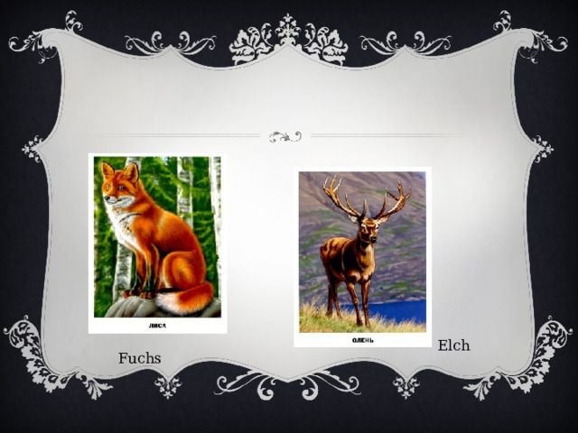 Elch Fuchs 