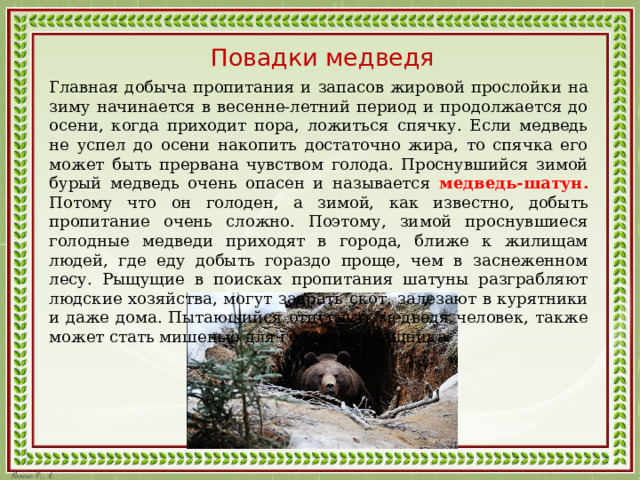 Повадки медведя Главная добыча пропитания и запасов жировой прослойки на зиму начинается в весенне-летний период и продолжается до осени, когда приходит пора, ложиться спячку. Если медведь не успел до осени накопить достаточно жира, то спячка его может быть прервана чувством голода. Проснувшийся зимой бурый медведь очень опасен и называется медведь-шатун. Потому что он голоден, а зимой, как известно, добыть пропитание очень сложно. Поэтому, зимой проснувшиеся голодные медведи приходят в города, ближе к жилищам людей, где еду добыть гораздо проще, чем в заснеженном лесу. Рыщущие в поисках пропитания шатуны разграбляют людские хозяйства, могут задрать скот, залезают в курятники и даже дома. Пытающийся отпугнуть медведя человек, также может стать мишенью для голодного хищника. 