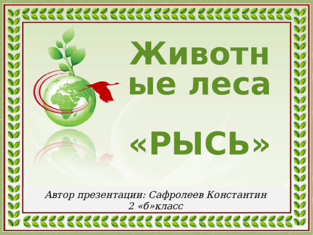 Животные леса  «РЫСЬ» Автор презентации: Сафролеев Константин 2 «б»класс  