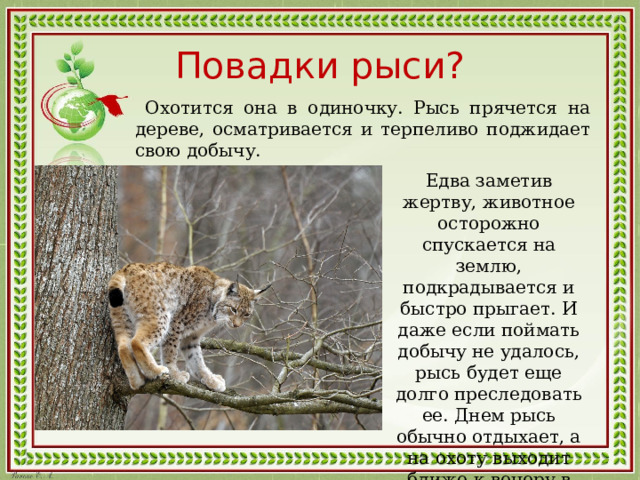 Повадки рыси?  Охотится она в одиночку. Рысь прячется на дереве, осматривается и терпеливо поджидает свою добычу. Едва заметив жертву, животное осторожно спускается на землю, подкрадывается и быстро прыгает. И даже если поймать добычу не удалось, рысь будет еще долго преследовать ее. Днем рысь обычно отдыхает, а на охоту выходит ближе к вечеру в сумерках. 