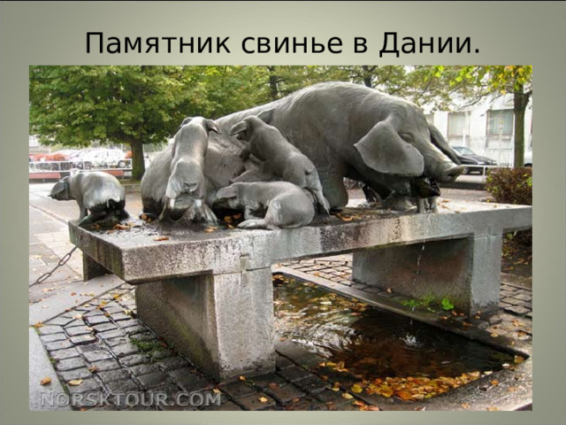 Памятник свинье в Дании. 