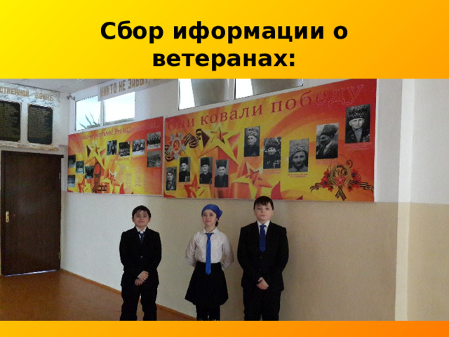 Сбор иформации о ветеранах: 