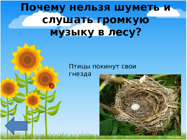 Почему нельзя шуметь и слушать громкую музыку в лесу? Птицы покинут свои гнезда 