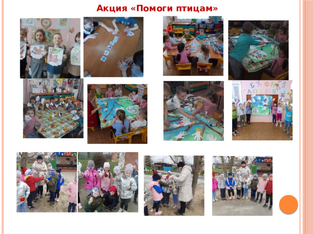  Акция «Помоги птицам» 