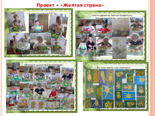  Проект « «Желтая страна» 