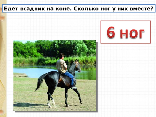 Едет всадник на коне. Сколько ног у них вместе? 