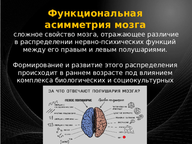 Функциональная  асимметрия мозга  сложное свойствo мозга, отражающее различие в распределении нервно-психических функций между его правым и левым полушари­ями. Формирование и развитие этого распределения происходит в раннем возрасте под влиянием комплекса биологических и социокультурных факторов. 