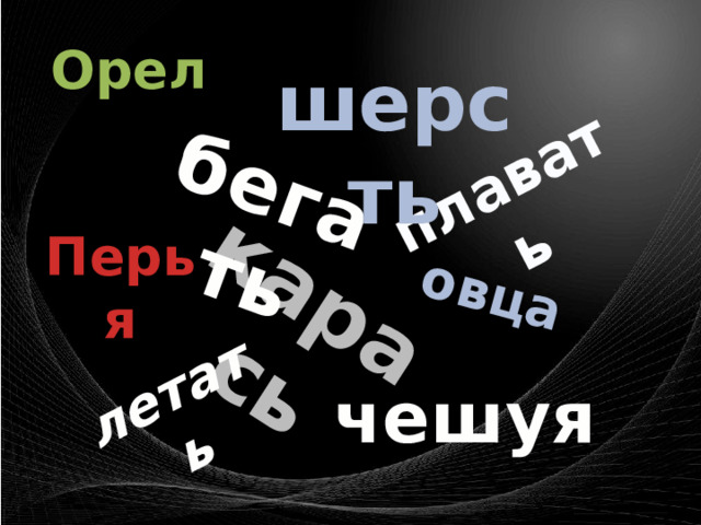 карась овца бегать плавать летать Орел  шерсть Перья  чешуя 