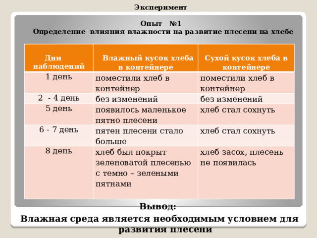 Эксперимент  Опыт №1  Определение влияния влажности на развитие плесени на хлебе    1 день   Дни наблюдений  Влажный кусок хлеба в контейнере  поместили хлеб в контейнер 2 - 4 день Сухой кусок хлеба в контейнере поместили хлеб в контейнер без изменений 5 день 6 - 7 день появилось маленькое пятно плесени без изменений хлеб стал сохнуть пятен плесени стало больше 8 день хлеб стал сохнуть хлеб был покрыт зеленоватой плесенью с темно – зелеными пятнами хлеб засох, плесень не появилась Вывод: Влажная среда является необходимым условием для развития плесени 