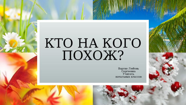 Кто на кого похож? Вартке Любовь Сергеевна Учитель начальных классов  