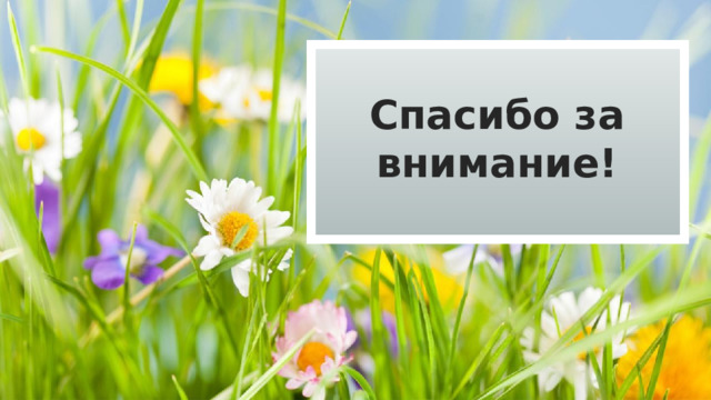 Спасибо за внимание! 