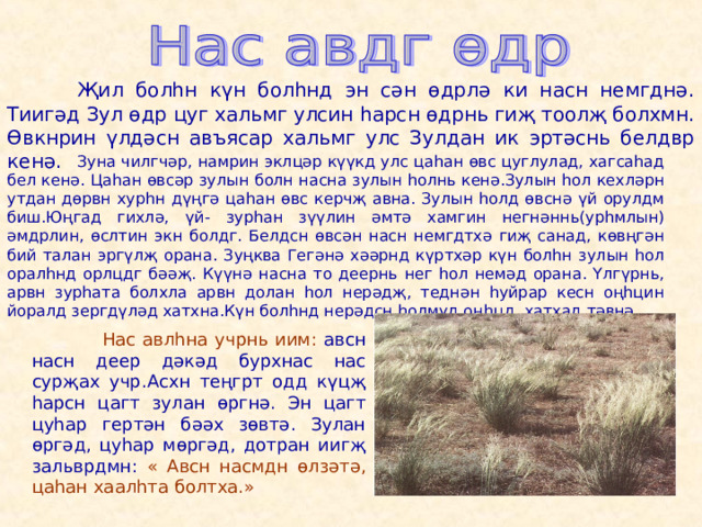   Җил болһн күн болһнд эн сән өдрлә ки насн немгднә. Тиигәд Зул өдр цуг хальмг улсин һарсн өдрнь гиҗ тоолҗ болхмн. Өвкнрин үлдәсн авъясар хальмг улс Зулдан ик эртәснь белдвр кенә.   Зуна чилгчәр, намрин эклцәр күүкд улс цаһан өвс цуглулад, хагсаһад бел кенә. Цаһан өвсәр зулын болн насна зулын һолнь кенә.Зулын һол кехләрн утдан дөрвн хурһн дүңгә цаһан өвс керчҗ авна. Зулын һолд өвснә үй орулдм биш.Юңгад гихлә, үй- зурһан зүүлин әмтә хамгин негнәннь(урһмлын) әмдрлин, өслтин экн болдг. Белдсн өвсән насн немгдтхә гиҗ санад, көвңгән бий талан эргүлҗ орана. Зуңква Гегәнә хәәрнд күртхәр күн болһн зулын һол оралһнд орлцдг бәәҗ. Күүнә насна то деернь нег һол немәд орана. Үлгүрнь, арвн зурһата болхла арвн долан һол нерәдҗ, теднән һуйрар кесн оңһцин йоралд зергдүләд хатхна.Күн болһнд нерәдсн һолмуд оңһцд хатхад тәвнә.  Нас авлһна учрнь иим:  авсн насн деер дәкәд бурхнас нас сурҗах учр.Асхн теңгрт одд күцҗ һарсн цагт зулан өргнә. Эн цагт цуһар гертән бәәх зөвтә. Зулан өргәд, цуһар мөргәд, дотран иигҗ зальврдмн:  « Авсн насмдн өлзәтә, цаһан хаалһта болтха.» 