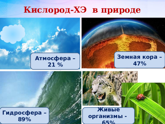 Кислород-ХЭ в природе Земная кора – 47% Атмосфера – 21 % Гидросфера – 89% Живые организмы - 65% 