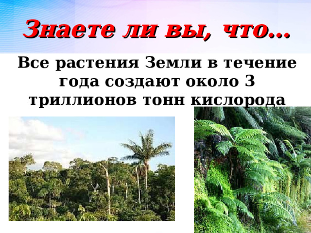 Знаете ли вы, что… Все растения Земли в течение года создают около 3 триллионов тонн кислорода  