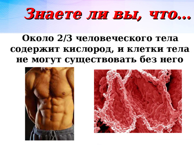 Знаете ли вы, что…  Около 2/3 человеческого тела содержит кислород, и клетки тела не могут существовать без него  