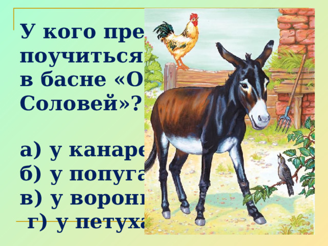 У кого предлагал поучиться пению Осел в басне «Осел и Соловей»?  а) у канарейки б) у попугая в) у вороны  г) у петуха 