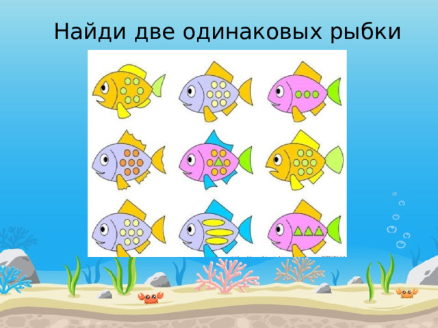 Найди две одинаковых рыбки 