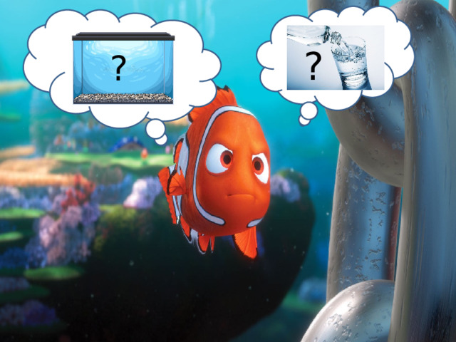 ? ? 