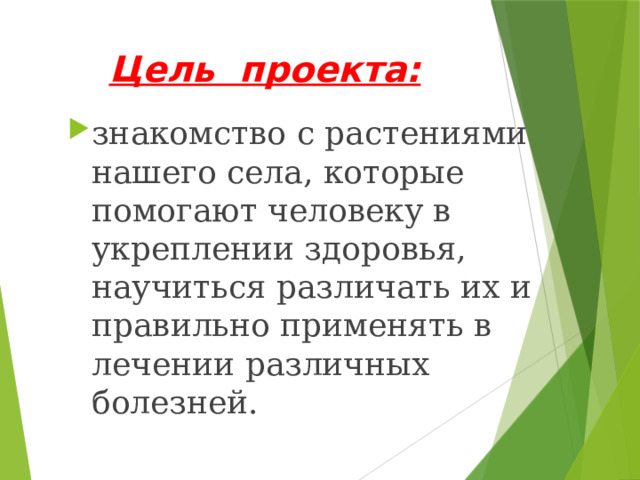 Цель проекта:  знакомство с растениями нашего села, которые помогают человеку в укреплении здоровья, научиться различать их и правильно применять в лечении различных болезней. 