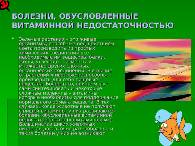 БОЛЕЗНИ, ОБУСЛОВЛЕННЫЕ ВИТАМИННОЙ НЕДОСТАТОЧНОСТЬЮ Зеленые растения – это живые организмы, способные под действием света производить из простых химических соединений все необходимые им вещества: белки, жиры, углеводы, пигменты и множество других сложных органических соединений. В отличие от растений животные неспособны производить для себя пищевые вещества. Более того, они не могут сами синтезировать и некоторые сложные молекулы – витамины, которые необходимы для поддержания нормального обмена веществ. В тех случаях, когда животные не получают с пищей витамины, у них развиваются болезни, обусловленные витаминной недостаточностью («авитаминозом»). Большинство диких животных питается достаточно разнообразно, и такие болезни у них не возникают. 