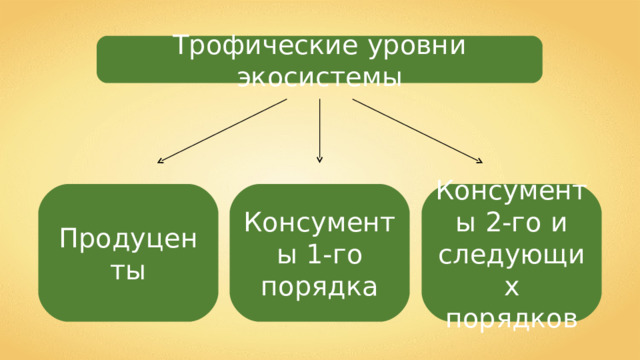 Трофические уровни экосистемы Продуценты Консументы 1-го порядка Консументы 2-го и следующих порядков 