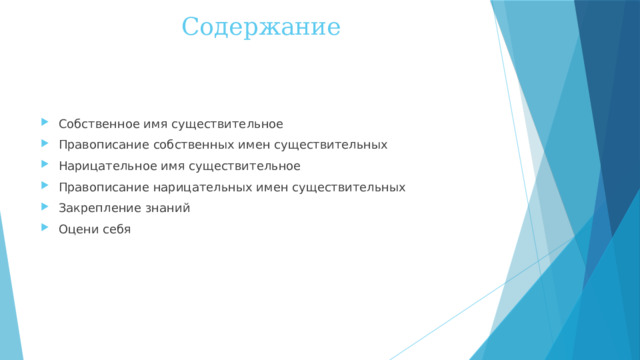 Содержание Собственное имя существительное Правописание собственных имен существительных Нарицательное имя существительное Правописание нарицательных имен существительных Закрепление знаний Оцени себя 